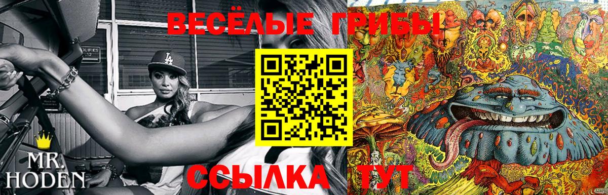 Галлюциногенные грибы мухоморы Краснодар