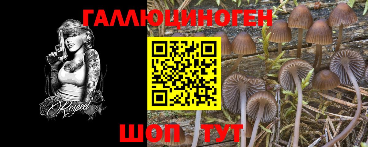 Псилоцибиновые грибы GOLDEN TEACHER  Вход с VPN  Краснодар 