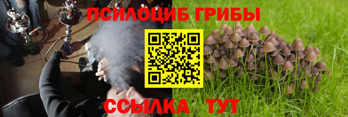 Галлюциногенные грибы Psilocybine cubensis Краснодар